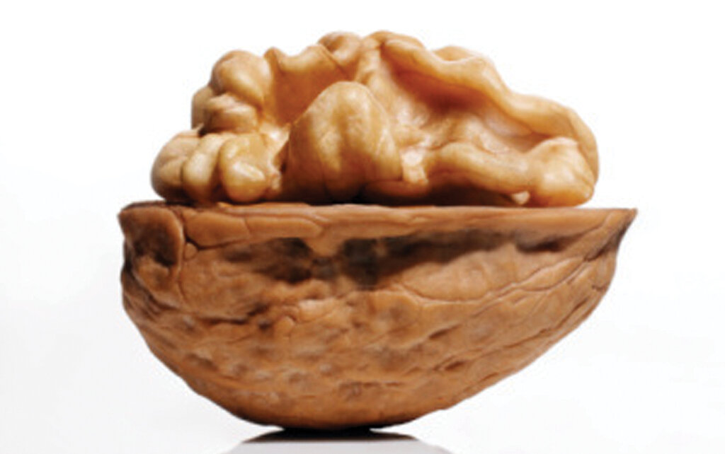 مهارتهای خانهداری | با این روش ساده از سیاه شدن موز در یخچال جلوگیری کنید | حشرههای سیاه کاهو را چگونه از بین ببریم؟