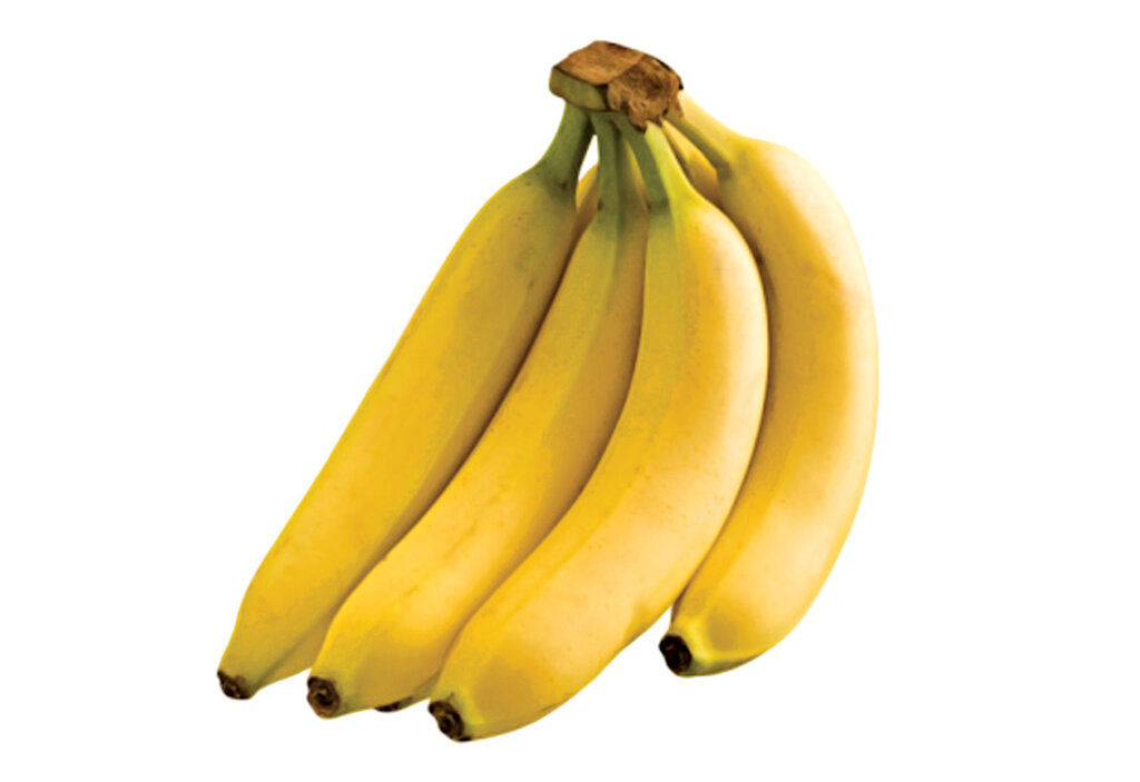 مهارتهای خانهداری | با این روش ساده از سیاه شدن موز در یخچال جلوگیری کنید | حشرههای سیاه کاهو را چگونه از بین ببریم؟