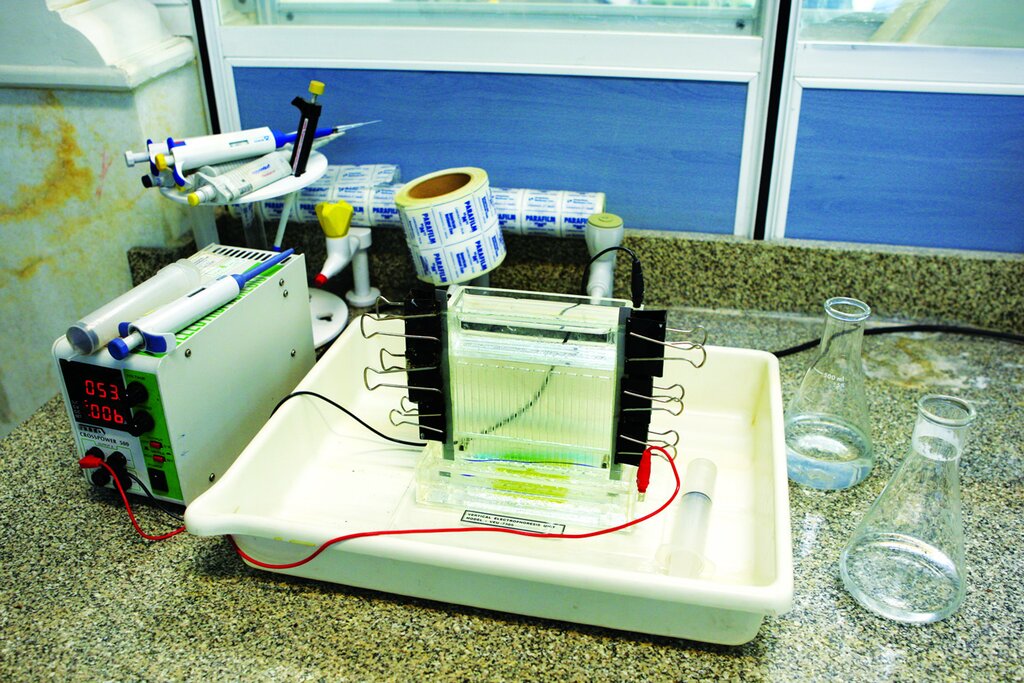 ایران بهترین متخصصان منطقه را در زمینه کشف جرم به روش آزمایش DNA دارد