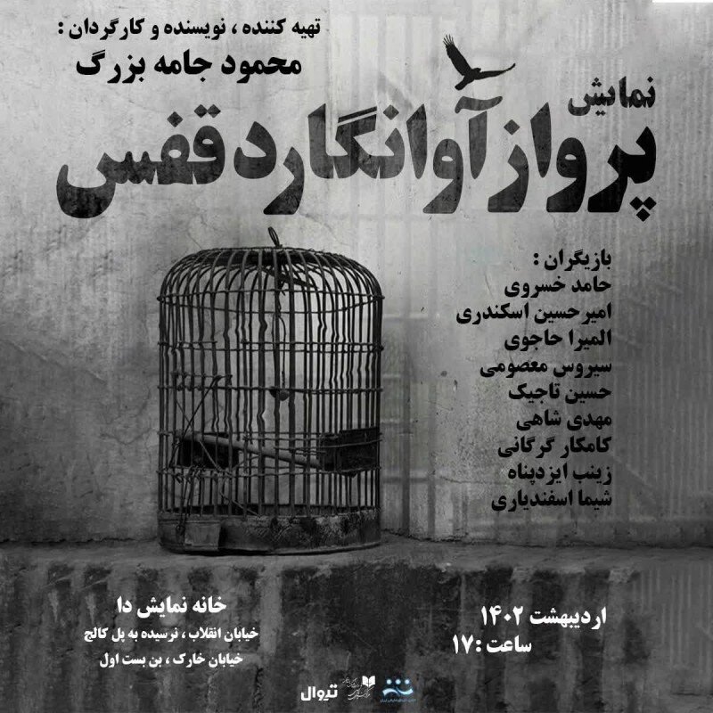 از جنجال بر سر سایه خر تا افسانه ببر و پرواز آوانگارد قفس