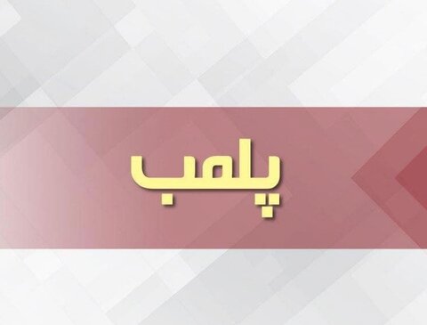 تولید شیرینی و بیسکویت‌ با طعم سوسک | تصاویر چندش آور از ظرف مواد شیرینی که سوسک مرده داشت + ویدئو