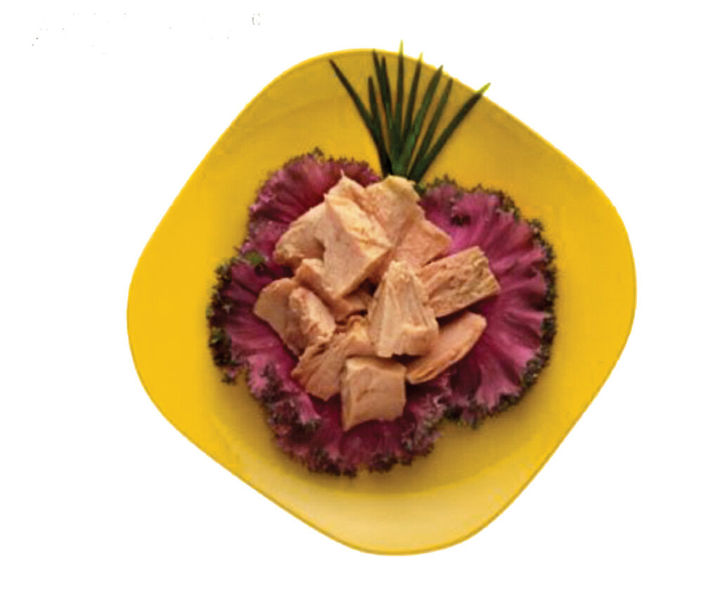 چگونه بهترین تن ماهی را انتخاب کنیم؟