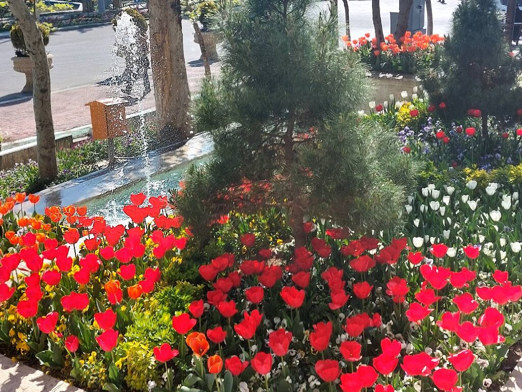 دلبری لالهها در قلب پایتخت | عکس یادگاری را فراموش نکن!