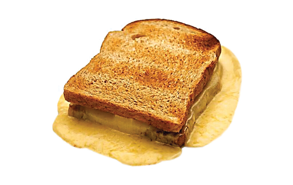 راهنمای خرید انواع پنیر | کدام پنیر خوشمزهتر است؟