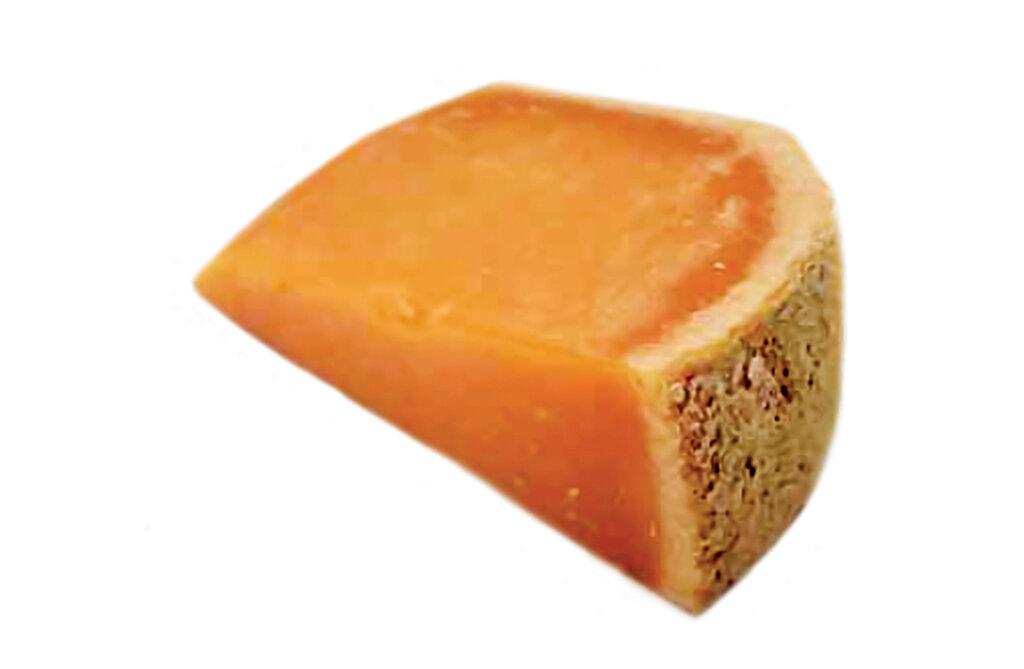 راهنمای خرید انواع پنیر | کدام پنیر خوشمزهتر است؟