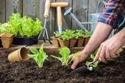 آماده سازی خاک باغچه برای کاشت سبزی | ۸ گام برای اینکه سبزی بکاریم