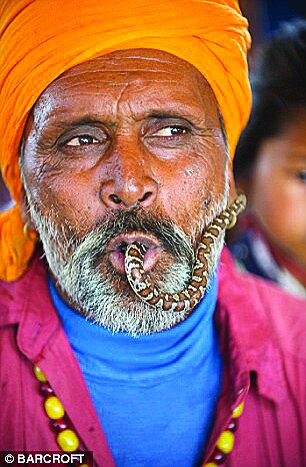 برپایی کلاسهای آموزشی برای پرورش مار | مارها و آدمها