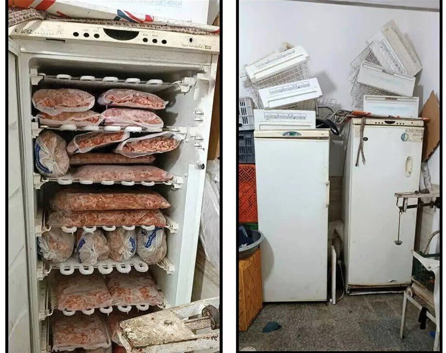عکس توزیع گوشت‌ و مرغ آلوده در رستوران‌های یک شهر | کشف ۲۰۰ کیوگرم ضایعات غیرقایل خوردن در یخچال محل جرم