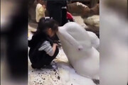 ببینید | واکنش جالب نهنگ سفید در مواجهه با یک دختر!