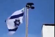 ببینید | حرکت خبرساز یک کلاغ با پرچم اسرائیل |‌ پرچم سرنگون شد!