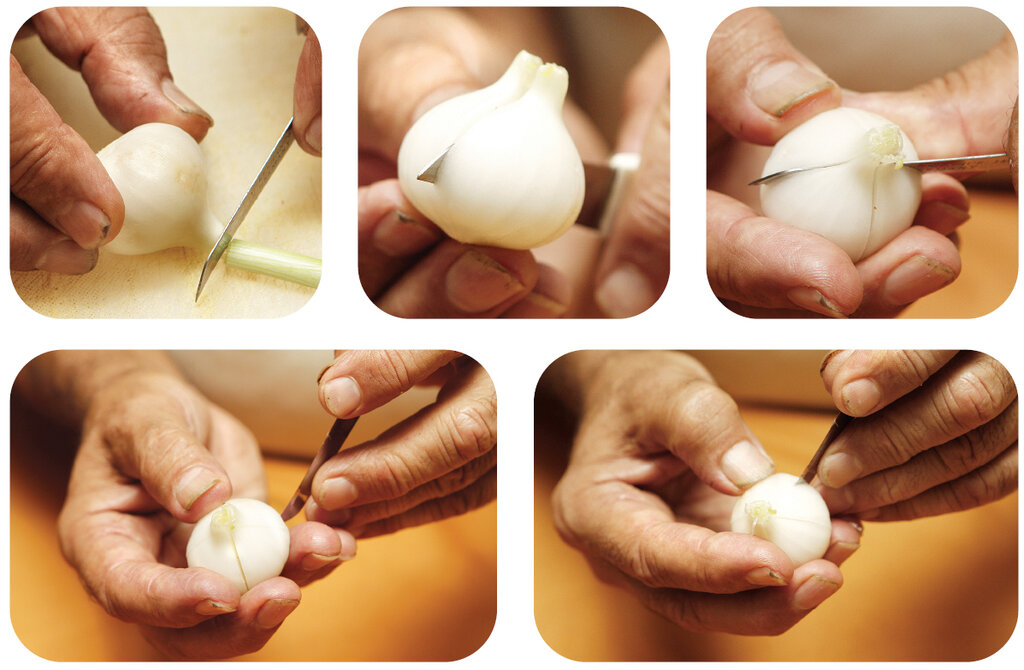 چگونه با پیازچه یک سبد گل درست کنیم؟