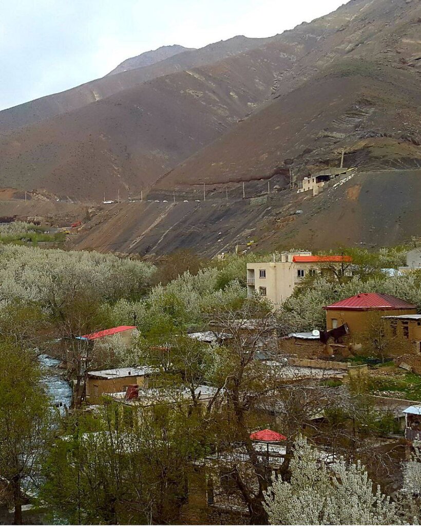 از شکوفه های گیلاس تا خرتراشههای دیدنی | این روستا بوی بهشت میدهد