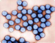آنچه باید درباره انتقال روتاویروس بدانید