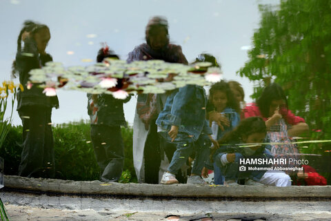 گشتی در باغ های گیاه شناسی تهران