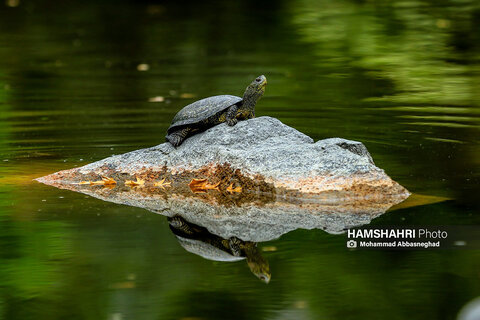 گشتی در باغ های گیاه شناسی تهران