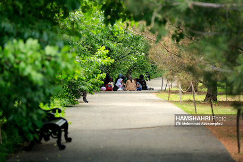 گشتی در باغ های گیاه شناسی تهران