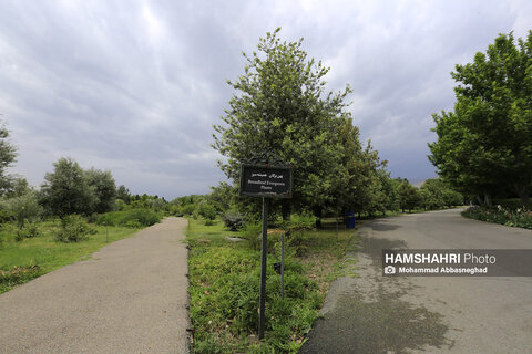 گشتی در باغ های گیاه شناسی تهران