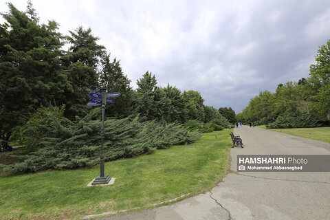 گشتی در باغ های گیاه شناسی تهران