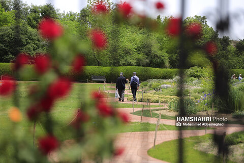 گشتی در باغ های گیاه شناسی تهران