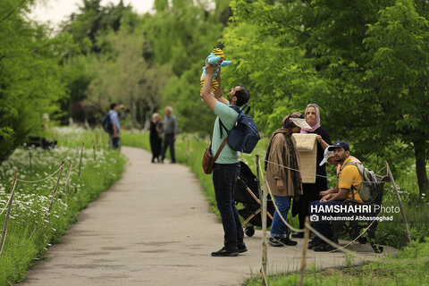 گشتی در باغ های گیاه شناسی تهران