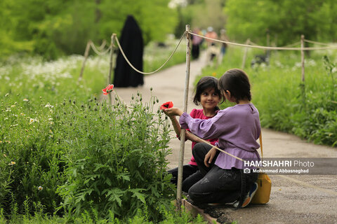 گشتی در باغ های گیاه شناسی تهران