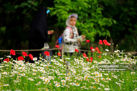 گشتی در باغ های گیاه شناسی تهران