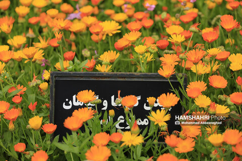 گشتی در باغ های گیاه شناسی تهران