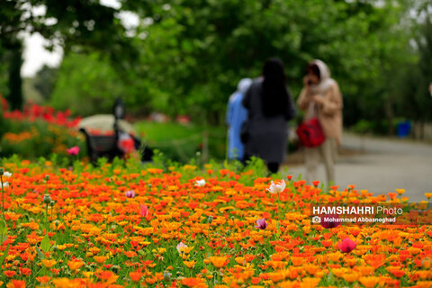 گشتی در باغ های گیاه شناسی تهران