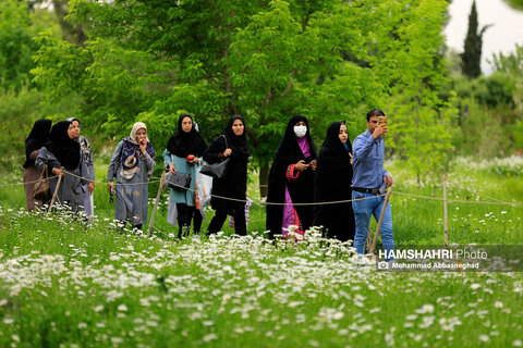گشتی در باغ های گیاه شناسی تهران