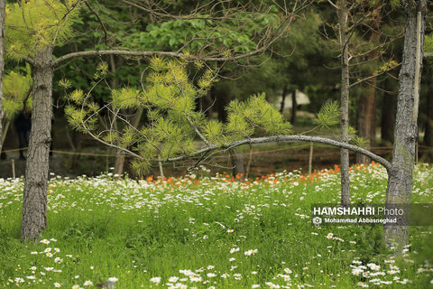 گشتی در باغ های گیاه شناسی تهران