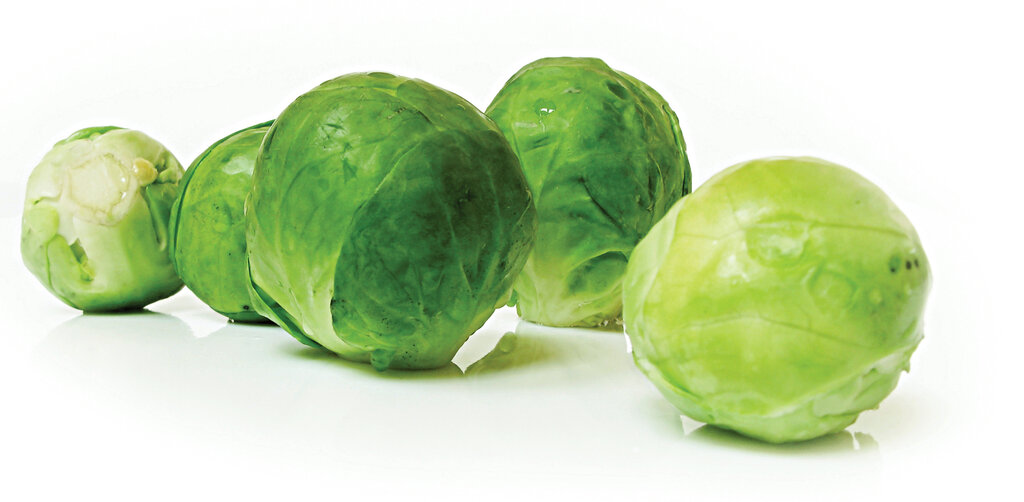 خوردن کدام گیاه از ابتلا به سرطان جلوگیری میکند؟