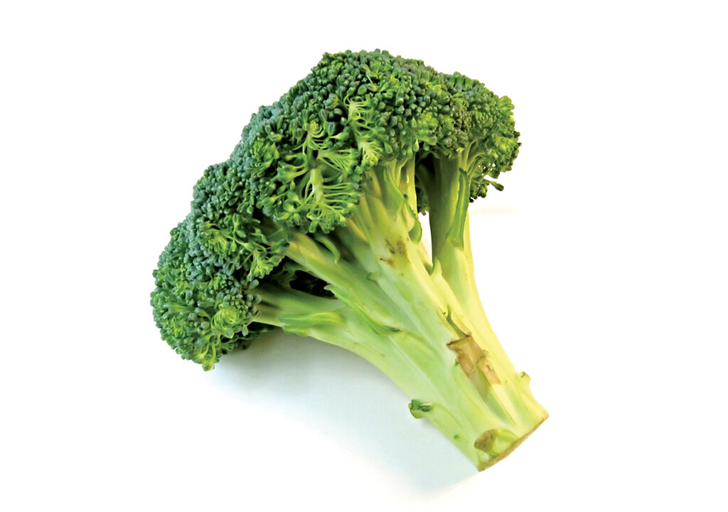 خوردن کدام گیاه از ابتلا به سرطان جلوگیری میکند؟