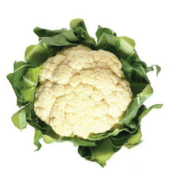 خوردن کدام گیاه از ابتلا به سرطان جلوگیری میکند؟