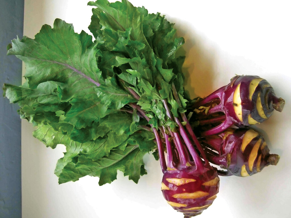 خوردن کدام گیاه از ابتلا به سرطان جلوگیری میکند؟