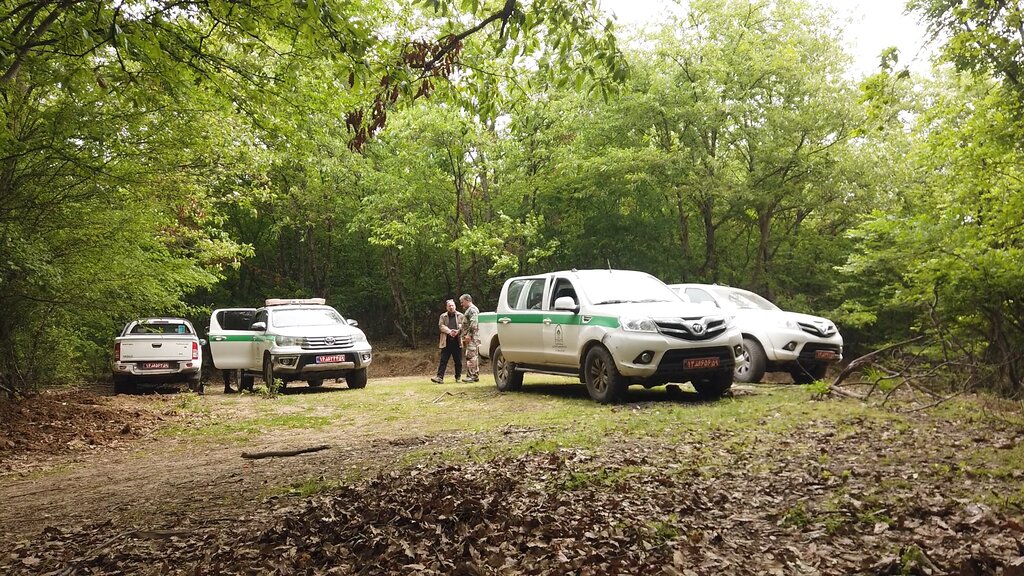 ببینید | سفر به سرزمین قارچهای میلیاردی