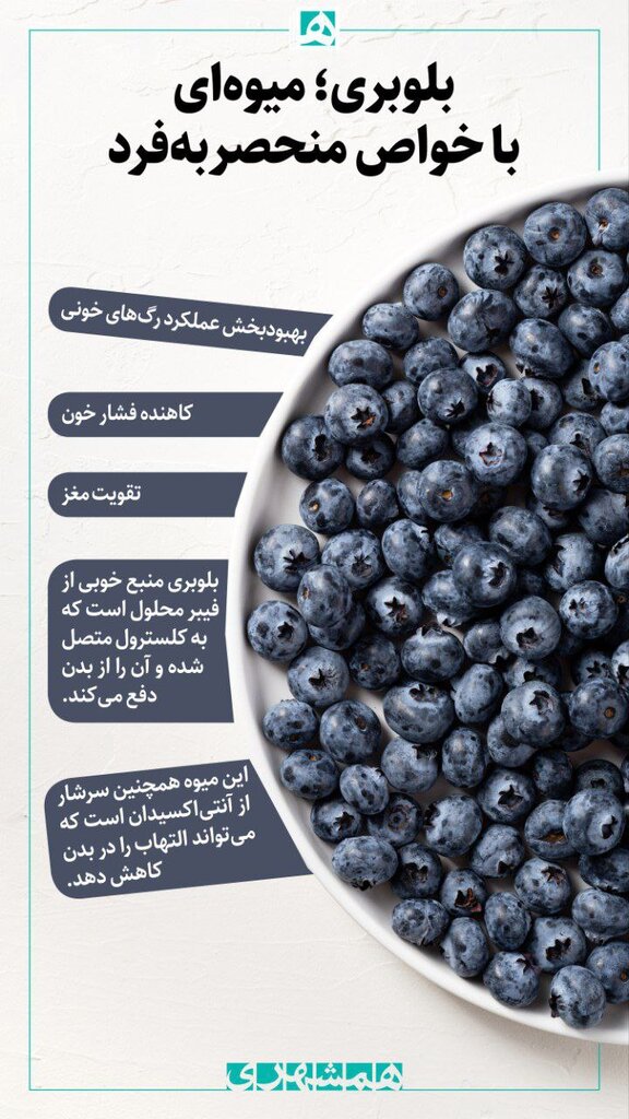 خواص بلوبری ؛ میوه ای که فشار خون را کاهش میدهد