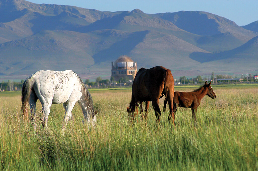 سلطانآجری | گنبد سلطانیه؛ بزرگترین بنای آجری جهان