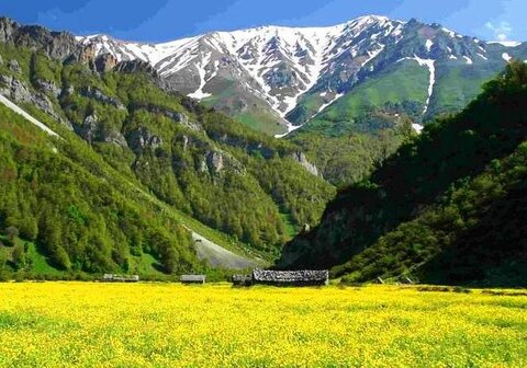 دشت دریاسر تنکابن