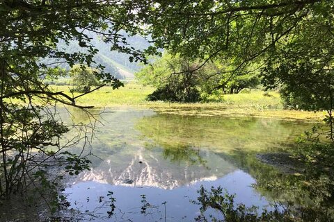 دشت دریاسر تنکابن