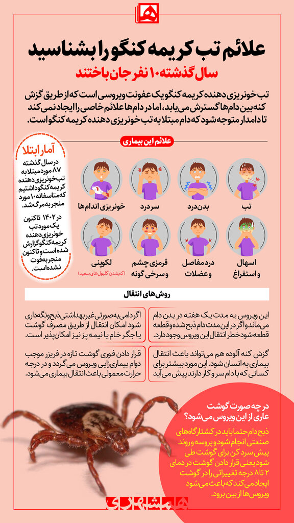 اینفوگرافیک | علائم اولیه بیماری تب کریمه کنگو را بشناسید | سال گذشته ۱۰ نفر جان باختند