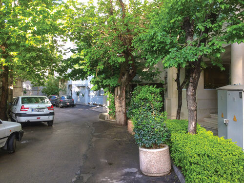 کوچه قورباغه ۲ قرن قدمت دارد | رمزگشایی از نام کوچه قدیمی شمال تهران