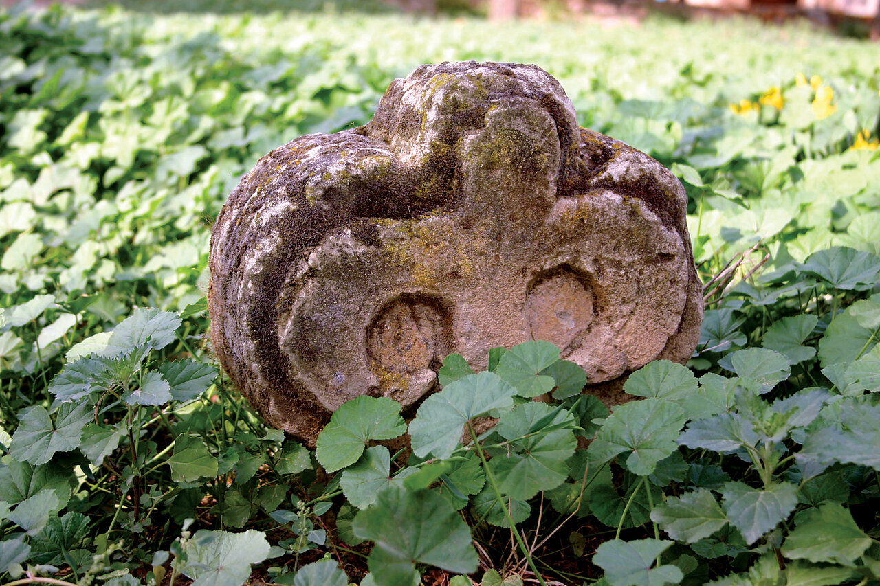 نقشهای شاخدار | ترکمنها چگونه تاریخ را ثبت میکنند؟