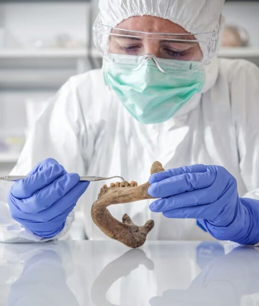 کشف ژنوم باکتری‌های عصر حجر از دندان نئاندرتال‌ها | پوسیدگی دندان‌ انسان‌های باستانی به کمک بشر امروز می‌آید