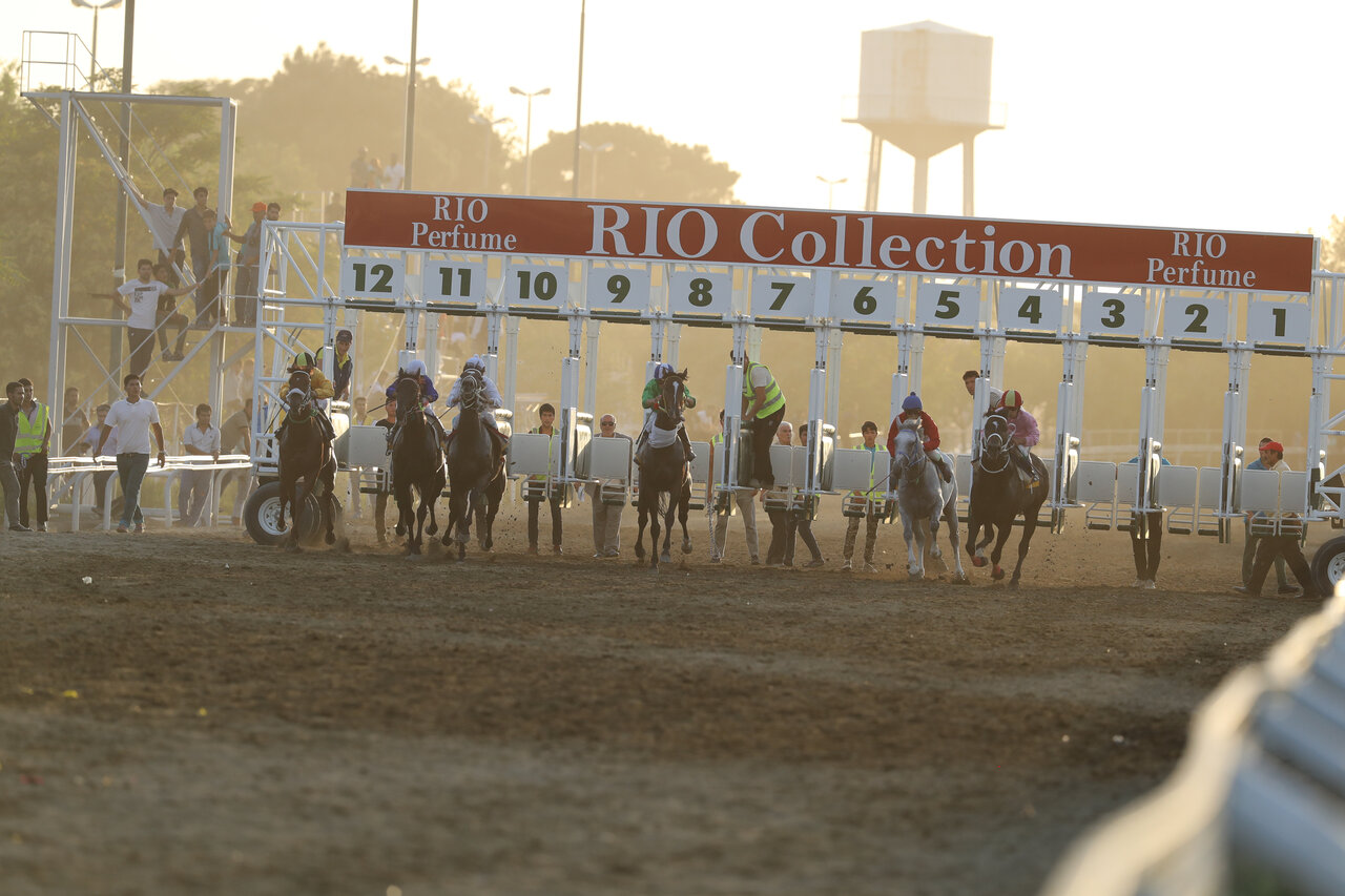 اشتغالزایی اسبها برای آدمها