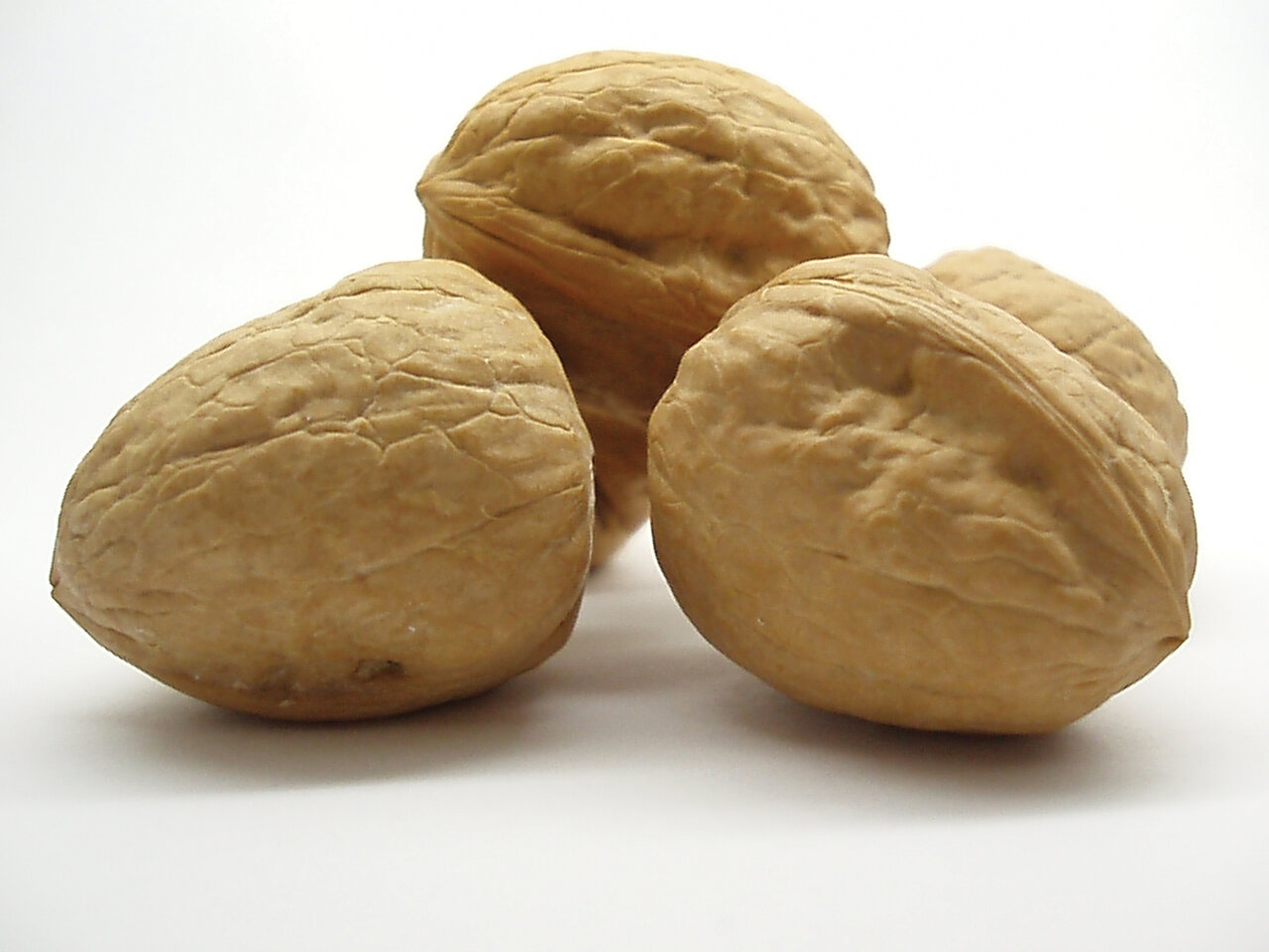 اگر به فکر سلولهای مغزتان هستید این مکملهای غذایی را فراموش نکنید