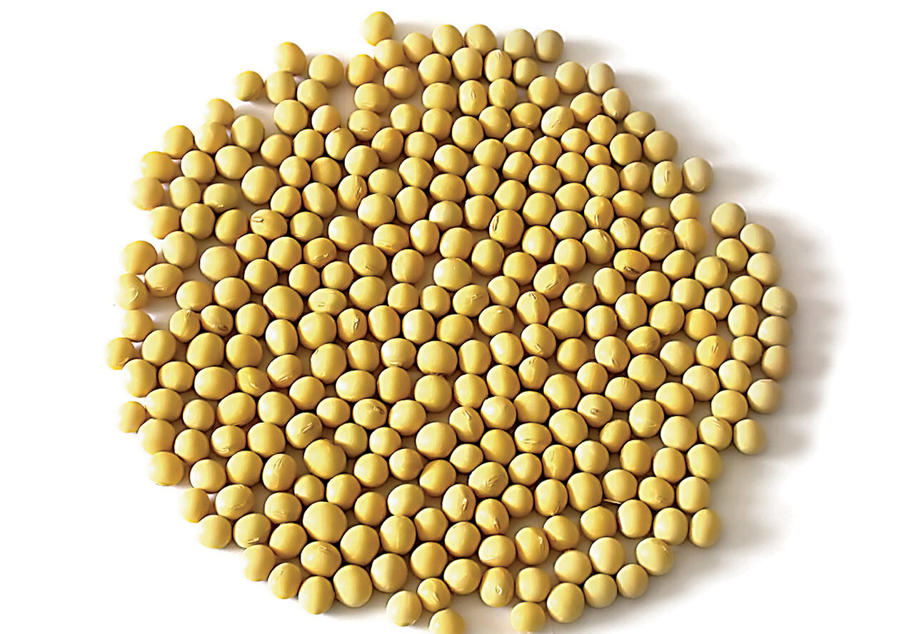 اگر به فکر سلولهای مغزتان هستید این مکملهای غذایی را فراموش نکنید