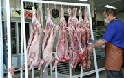 گوشت ارزان می شود؟ | دولت باید مجوز صادرات را بدهد وگرنه ...| قیمت جدید گوشت در بازار را ببینید