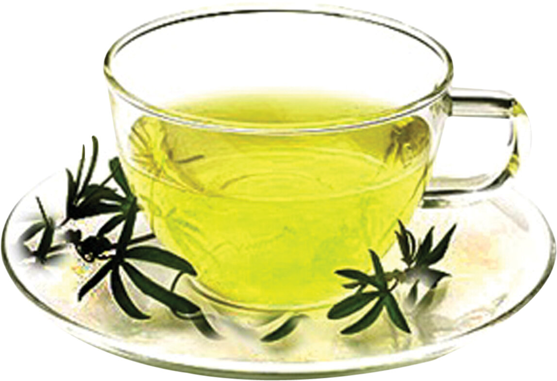 زخم معدهتان را با این گیاهان شفابخش درمان کنید