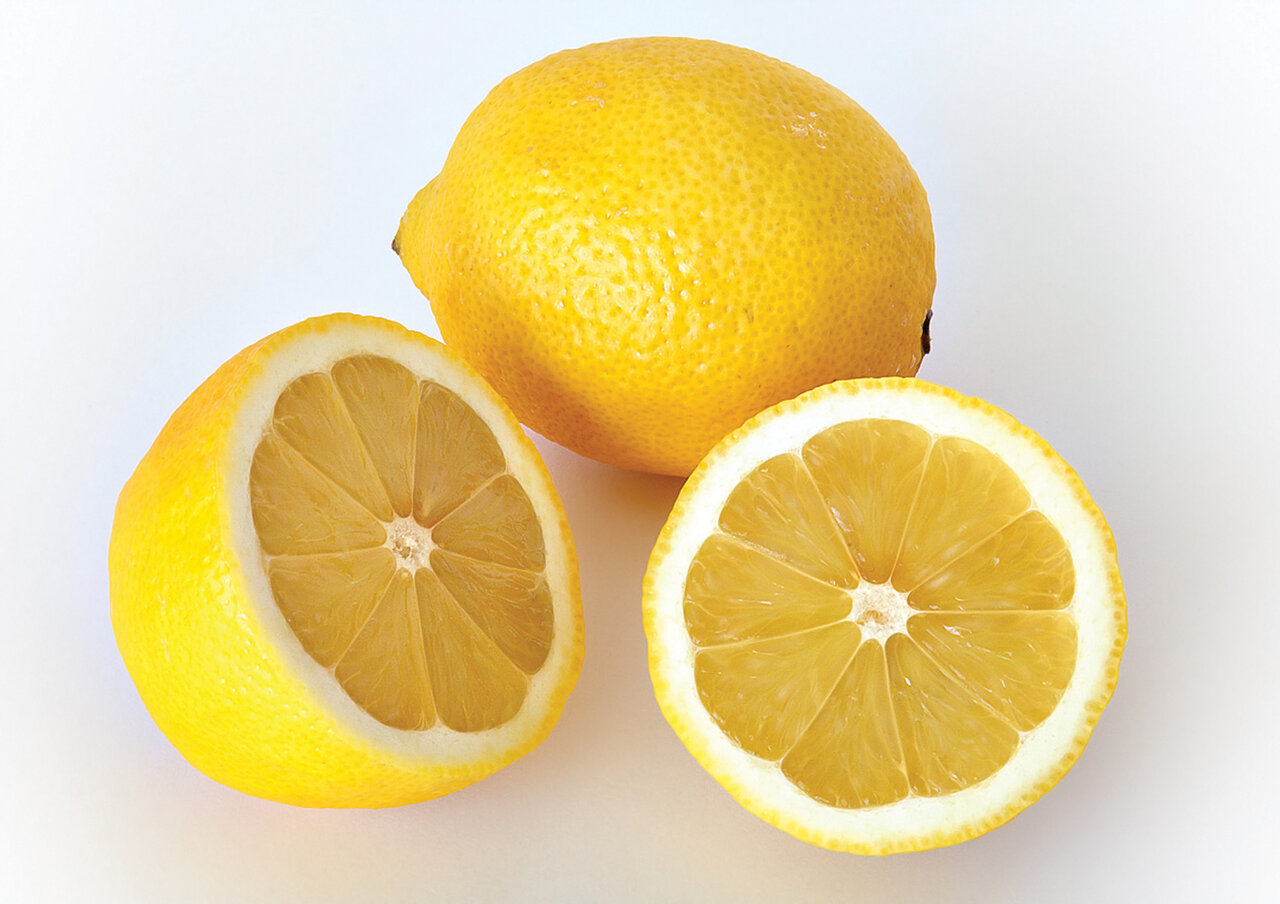 زخم معدهتان را با این گیاهان شفابخش درمان کنید