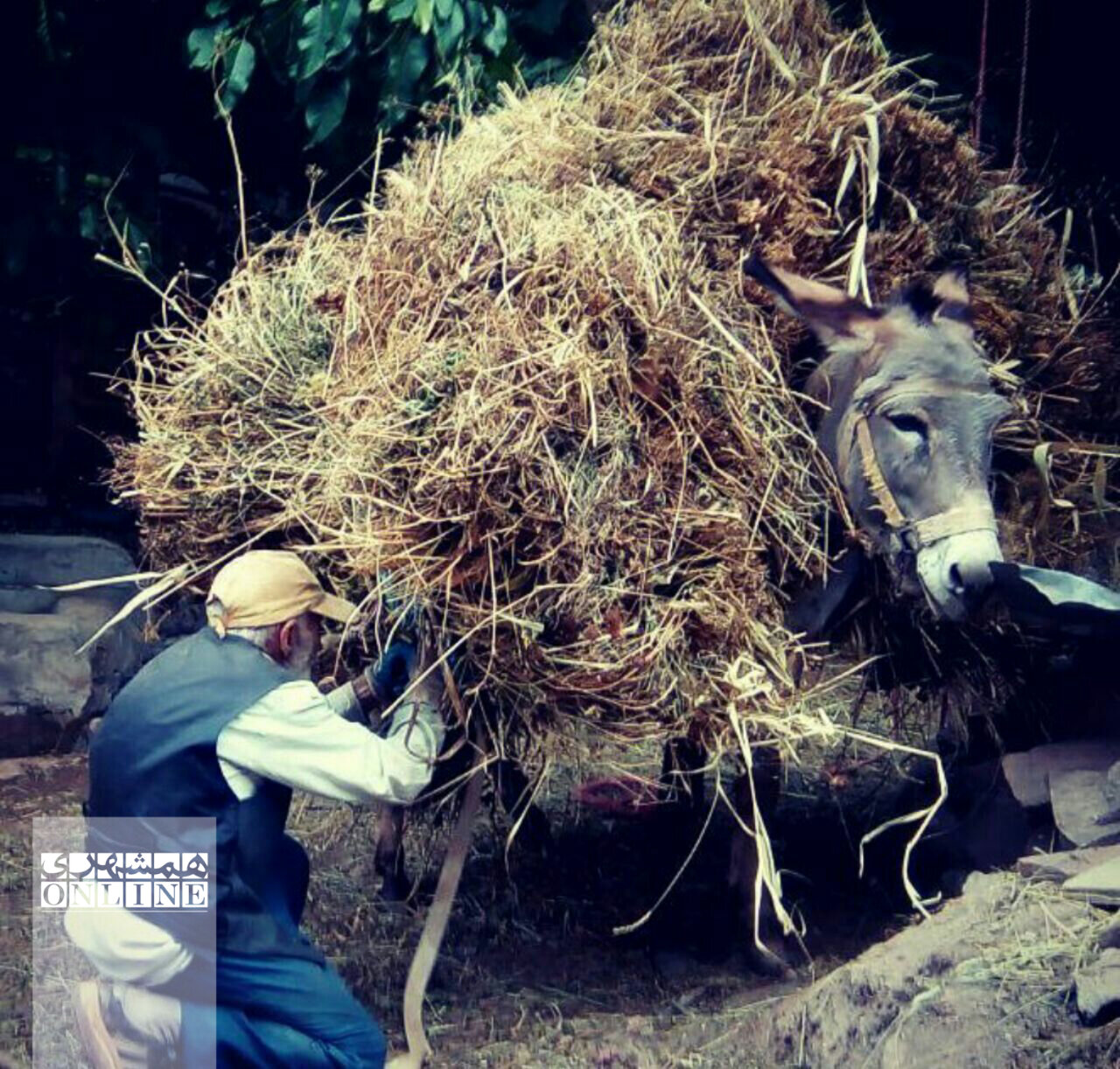 مهران؛ روستایی که به عروس طالقان معروف است | یادمان بزرگترین خوشنویس شکستهنستعلیق ایران اینجاست | پیشنهاد روستاگردی در نزدیکی تهران